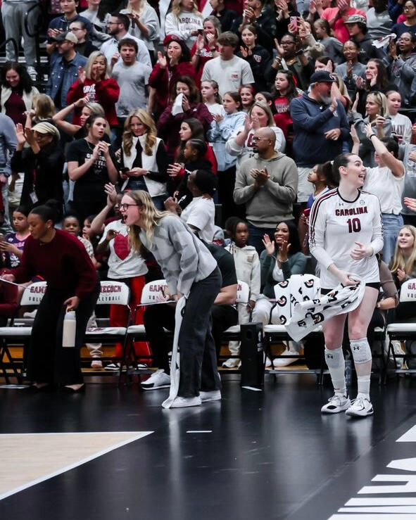 Gamecock Volleyball