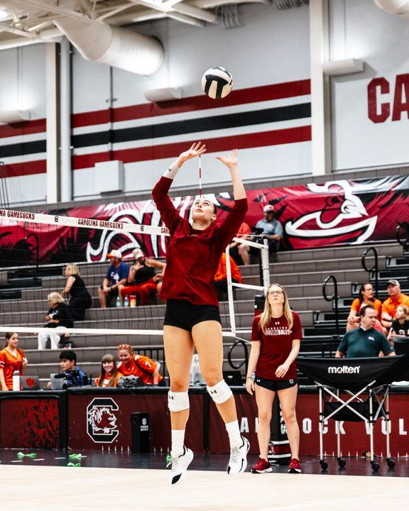 Gamecock Volleyball